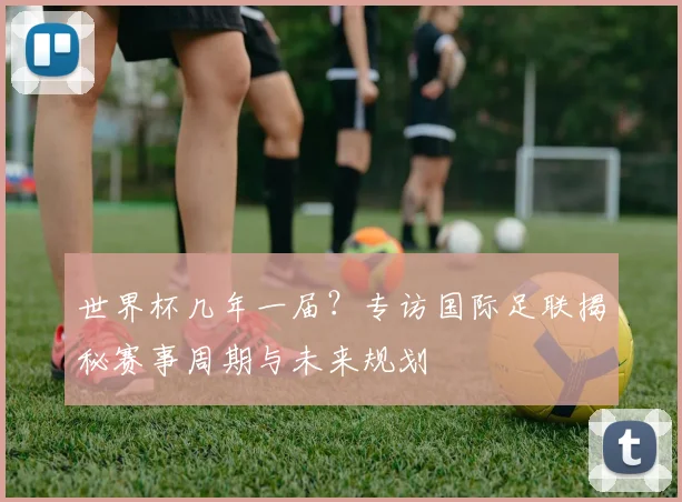 世界杯几年一届？专访国际足联揭秘赛事周期与未来规划